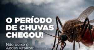 Chuvas exigem atenção contra o Aedes aegypti