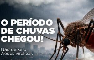 Chuvas exigem atenção contra o Aedes aegypti