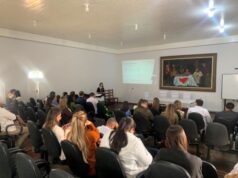 Reunião do COSEMS reforça gestão regional da saúde
