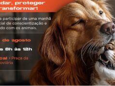 Ação educativa reforça proteção animal e saúde pública em Lafaiete